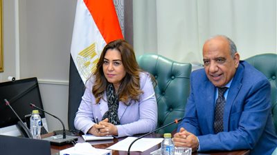 وزيرا الكهرباء والتنمية المحلية يبحثان التنسيق والعمل المشترك والتعاون فى قضايا البيئة والطاقات المتجددة