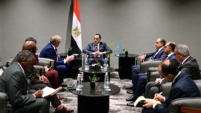 رئيس الوزراء يلتقي مسئولي شركة 