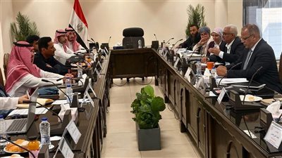 مني رزق تعقد اجتماعًا لمواصلة خطوات التنسيق لخط الربط الكهربائي بين مصر والسعودية