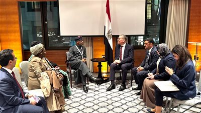 وزير البترول يبحث الشراكة وتبادل الخبرات مع نيجيريا  في قطاع التعدين