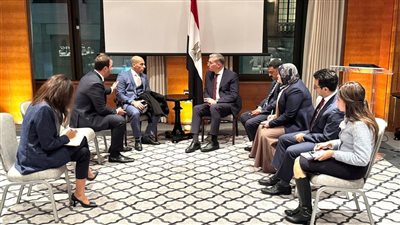 وزير البترول يبحث مع مؤسسات مالية عالمية آليات التمويل لمشروعات التعدين