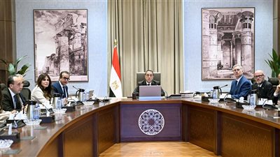 رئيس الوزراء يلتقي مسئولي 