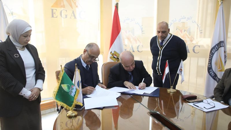 عالم الطاقة