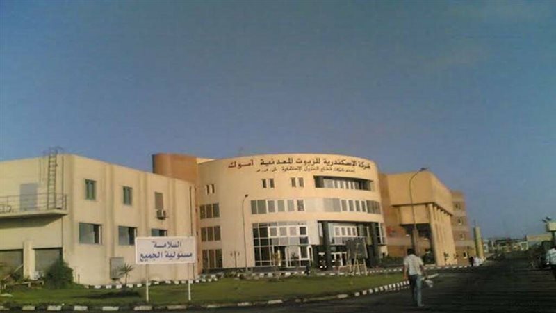 عالم الطاقة