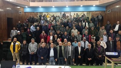 القابضة تعقد ندوة توعية لمفاهيم السلامة والصحة المهنية بقطاع كهرباء دمياط