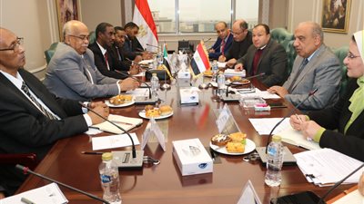 وزير الكهرباء يبحث مع نظيره السوداني دعم إعادة تأهيل الشبكات وتعزيز التعاون في الطاقات المتجددة