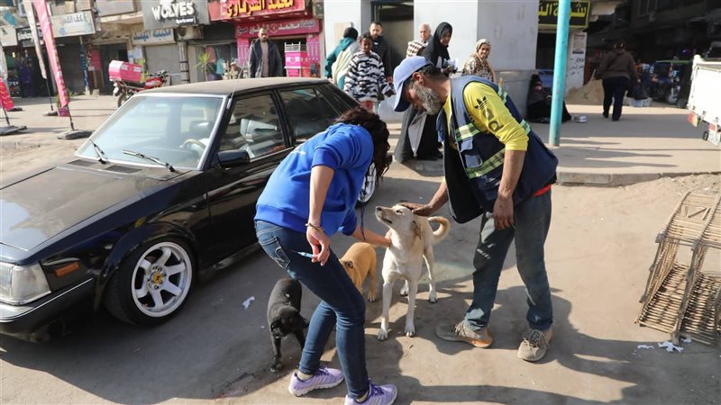 عالم الطاقة