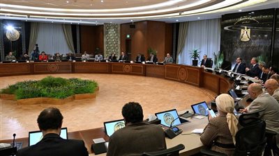 تأمين احتياجات الدولة من السلع لعدة شهور.. ولا انقطاع للتيار الكهربائي أو توقف لإمدادات الغاز عن المصانع.. أبرز ما جاء في مؤتمر مجلس الوزراء اليوم