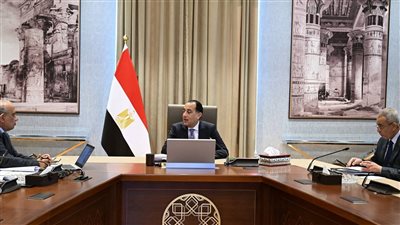 رئيس الوزراء يلتقي وزير الكهرباء لاستعراض عددٍ من ملفات العمل