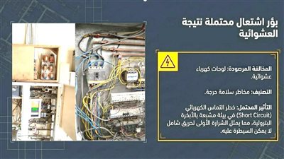 حملات رقابية لهيئة البترول تضبط مخالفات في توزيع السولار والبوتاجاز