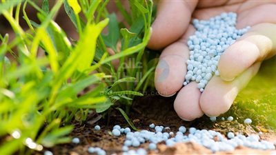 أسعار تصدير الأسمدة المصرية ترتفع 90% بسبب الحرب على إيران