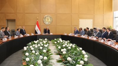 وزير الكهرباء يبحث مع وفد «الدوما الروسي» مستجدات العمل فى مشروعات الطاقة النظيفة