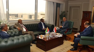 وزير الكهرباء يبحث مع  مستشار رئيس دولة اريتريا للشئون الاقتصادية الشراكة فى مجالات الطاقة المتجددة