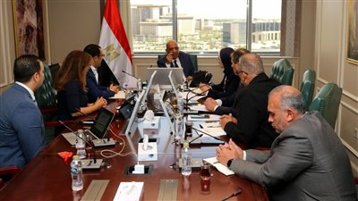 وزير الكهرباء يبحث مع شركة نكسوس انالاتيكا  تعظيم الاستفادة من التقنيات الرقمية فى إدارة الشبكة