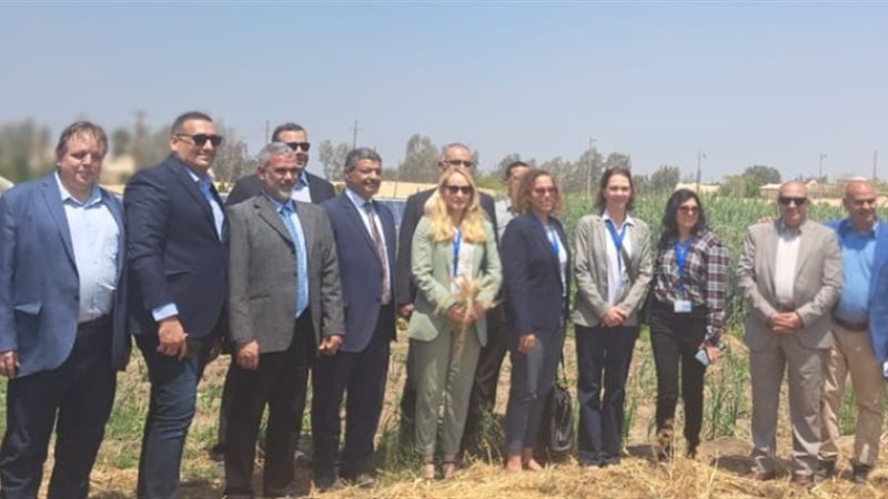 عالم الطاقة