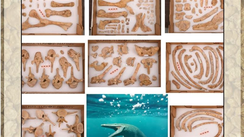 عالم الطاقة