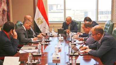 وزير الكهرباء يبحث مع 