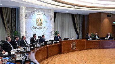 الحكومة: تحضير 10 شركات بقطاع البترول للقيد فى البورصة
