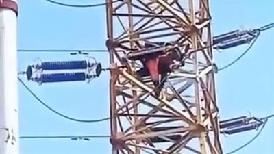مصرع فني حديث التعيين أثناء إصلاح عطل بالجهد المتوسط في النوبارية.. والتحقيقات تبدأ فورًا
