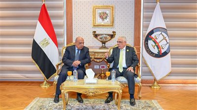 النائب العام ووزير الكهرباء يشهدان توقيع بروتوكول لتدريب مأموري الضبط القضائي بقطاع الكهرباء