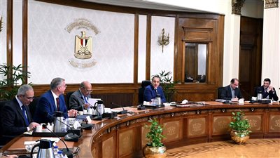 رئيس الوزراء يكلف بتسريع مقترح مبادرة استخدام الطاقة الجديدة والمتجددة بالمصانع