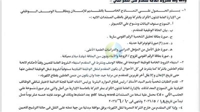 «نقل الكهرباء» تعلن عن شغل وظيفة رئيس منطقة كهرباء الدلتا