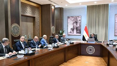 الحكومة: طرح شركات البترول ونقل تبعية جميع الشركات التابعة لوزارة قطاع الأعمال قبل 30 يونيو