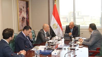 وزير الكهرباء يبحث مع مجموعة 