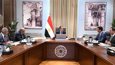 رئيس الوزراء يكلف بعرض الصورة النهائية لمبادرة تشجيع تركيب الواح الطاقة الشمسية في المصانع والمنازل على مجلس الوزراء