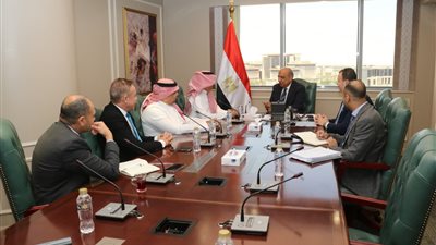 وزير الكهرباء يبحث مع شركة 