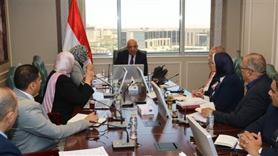 وزير الكهرباء يبحث مع محافظ الوادي الجديد دعم الاعتماد على الطاقات المتجددة