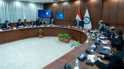 مصر والصين تدفعان بمشروعات استراتيجية في قطاع البتروكيماويات وتوطين بعض المنتجات