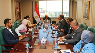 وزير الكهرباء يتابع مع «نكسوس أنالاتيكا» خطة تحرير سوق الكهرباء تدريجيا